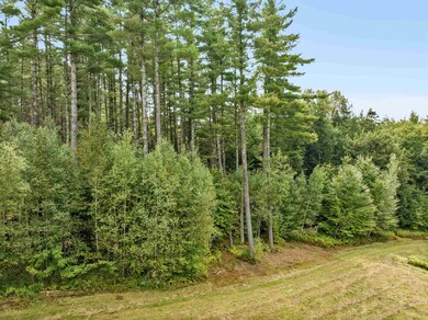 TBD Grey Birch Rd unit 16, Stowe, VT 05672 - photo 7