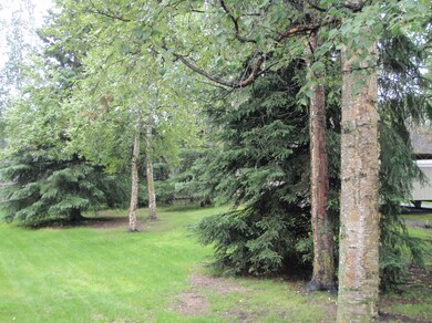 Treed area next to the home