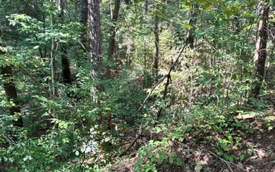 Additional View