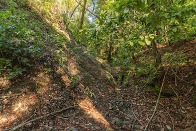 01 Lompico Rd, Felton, CA 95018 - photo 3