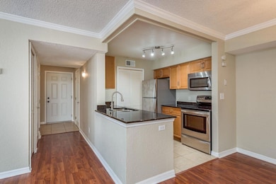 3266 Haviland Ct unit 203, Palm Harbor, FL 34684 - photo 2