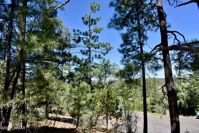 4601 S Manzanita Way, Show Low, AZ 85901 - photo 4