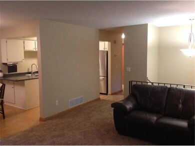 New Carpeting