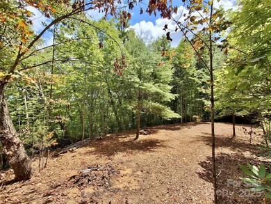 0 Sometimes Creek Rd, Sylva, NC 28779 - photo 2