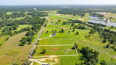 TRACT 8 Fm 3358 unit OAK CREEK HILLS, Gilmer, TX 75645 - photo 3