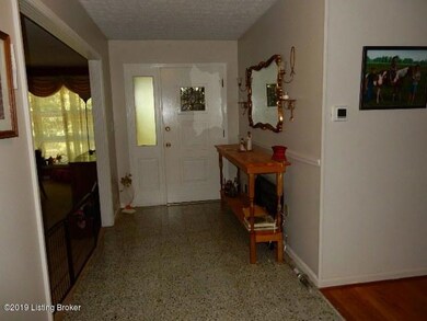 206 Knobview Dr, Lebanon Junction, KY 40150 - photo 6