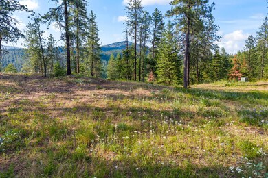 07-694 palmer-chewelah