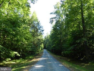 B Hart Ct, Culpeper, VA 22701 - photo 4