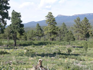 Fishers Peak to the East