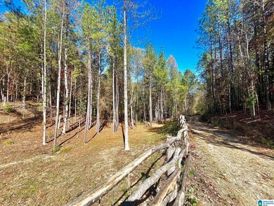 001 County Road 997 unit a, Clanton, AL 35046 - photo 6