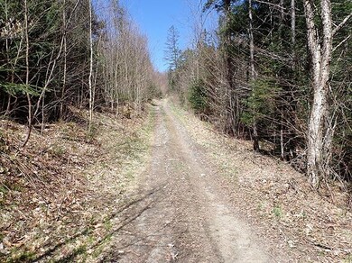 0 Route 2 Route unit 4911667, St. Johnsbury, VT 05819 - photo 6