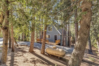 52402 Pine Ridge Rd, Idyllwild-Pine Cove, CA 92549 - photo 7