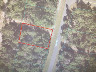 0 SW 161 Loop unit OM641467, Ocala, FL 34473 - photo 4