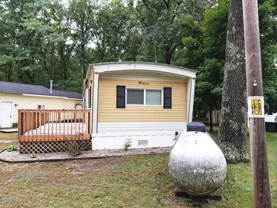 12879 N Pickerel Ave, Bitely, MI 49309 - photo 2