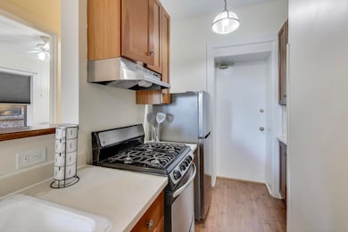 1633 E Hyde Park Blvd unit 2D, Chicago, IL 60615 - photo 7