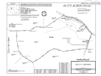 1411 Cabbage Creek Rd, Creston, NC 28615 - photo 5