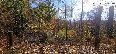 Easy slope at the top for grading in a driveway to a beautiful flat (ish) building site!