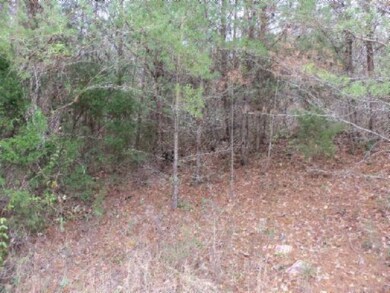 Lot 61 Hidden River Ln, Spencer, TN 38585 - photo 7