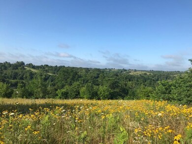 8947 Cornishville Rd, Harrodsburg, KY 40330 - photo 4