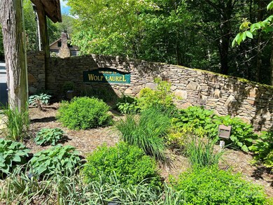 TBD Goldenleaf Rd unit 74, Egypt, NC 28754 - photo 7