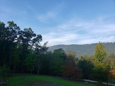 443 Back Valley Rd, Chickamauga, GA 30707 - photo 4