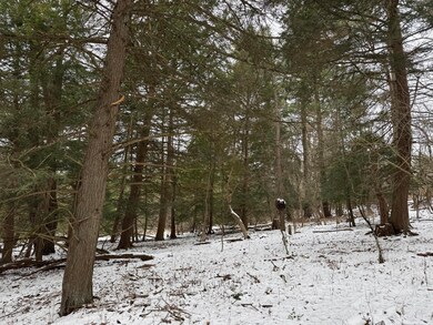 0 Richardsville Rd, Brookville, PA 15825 - photo 7