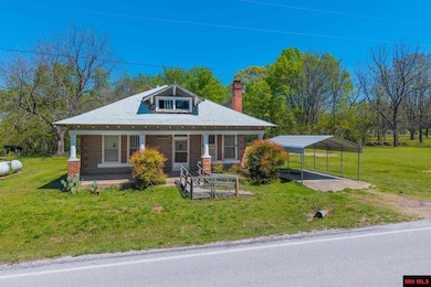 1449 Cotter Rd, Gassville, AR 72635 - photo 3