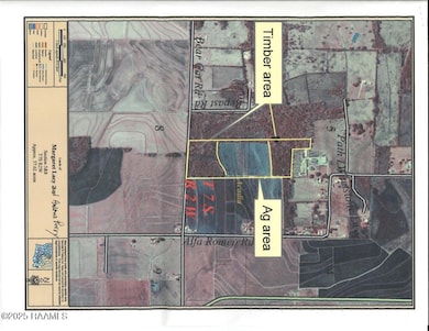 Tbd Bearcat Rd, Basile, LA 70515 - photo 2