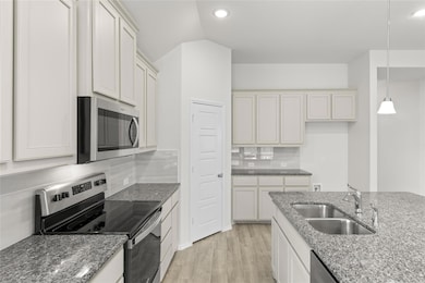 10312 Dittany Ln, Fort Worth, TX 76036 - photo 5