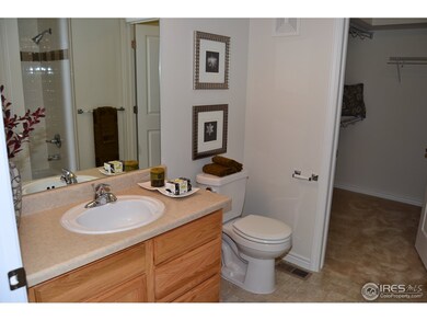 Master Bathroom & Walk-In-Closet