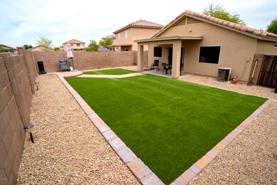 Backyard-2