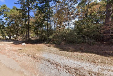 0 Floral Dr unit Trinity TX 75862, Trinity, TX 75862 - photo 4