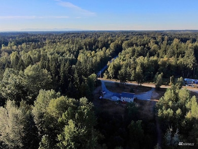 410 358th St E, Roy, WA 98580 - photo 3