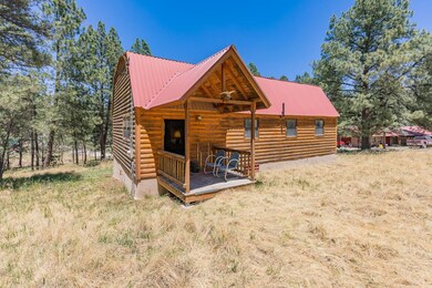 19 Will Scarlett, Mayhill, NM 88339 - photo 3