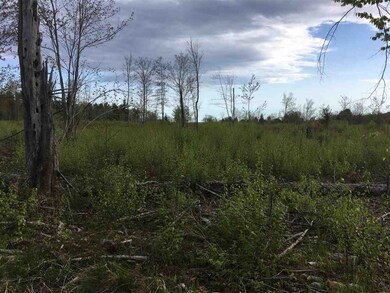 584 Willey Rd, Sanbornville, NH 03872 - photo 5