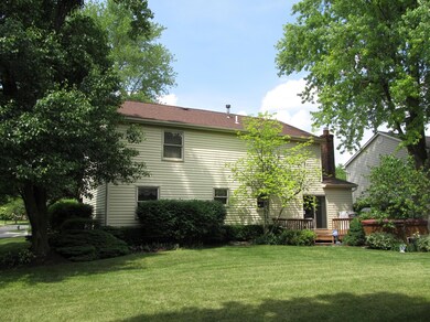 6- Rear View of House