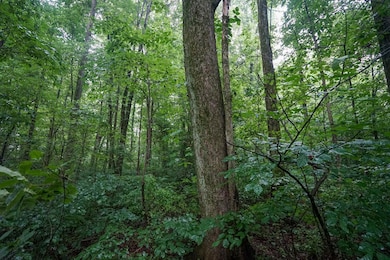 0 Duncanson Rd unit 24555971, Whiteoak Township, OH 45171 - photo 6