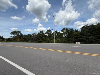 Vac S Saginaw St, Grand Blanc, MI 48439 - photo 5