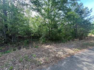 0 Hobby Horse Rd unit 167582, Vance, AL 35490 - photo 3