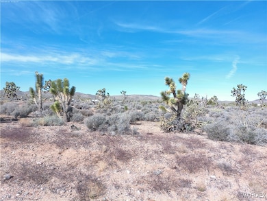 26241 Hummingbird Ln, Meadview, AZ 86444 - photo 3