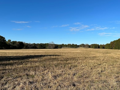 540 W Blue Branch Rd, Bennington, OK 74723 - photo 6