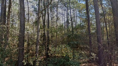 00 Live Oak Dr, Plantersville, TX 77363 - photo 3