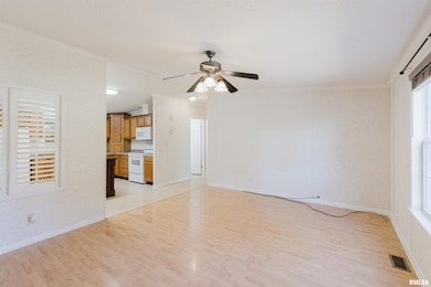 1009 N Mayor Caliper Dr, Colp, IL 62921 - photo 5