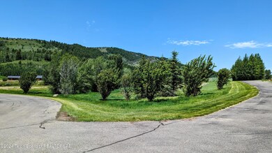 PXL_20240614_180137692~2