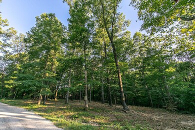 Lot 5 Ph 2 Misty River Subdivision, Nixa, MO 65714 - photo 4