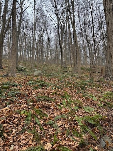 82 Wiccopee Rd, Putnam Valley, NY 10579 - photo 4