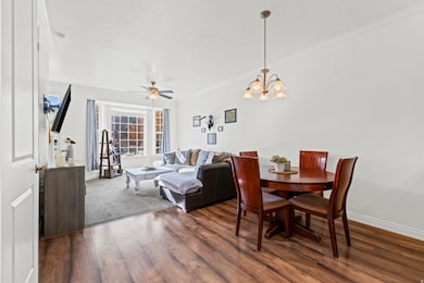 Dining area with dark wood-type flooring, a chandelier, a textured ceiling, ornamental molding, and a ceiling fan