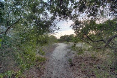 Shady Path to Beach