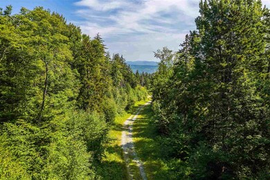 06 Turtle Hill Rd unit 6, Ludlow, VT 05149 - photo 2