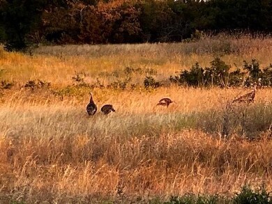 3700 Cleburne Hwy, Weatherford, TX 76087 - photo 2